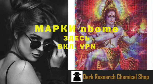 шишки Горно-Алтайск