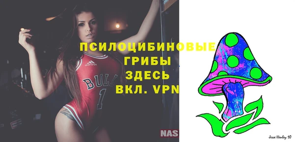 шишки Горно-Алтайск
