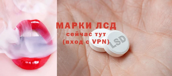 прущая мука Вяземский