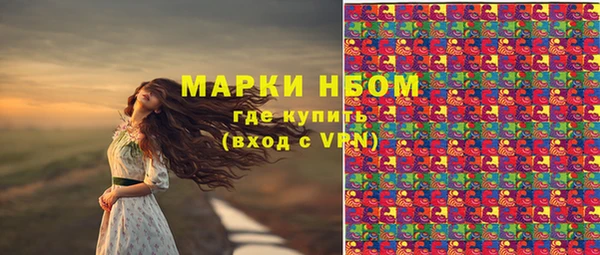 прущая мука Вяземский