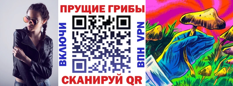 наркошоп  Зеленоградск  ОМГ ОМГ зеркало  Галлюциногенные грибы Magic Shrooms 